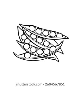 Fresh Green Peas in Pods Line Art Illustration