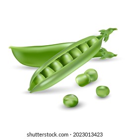 Fresh green peas, a source of vegetable protein.