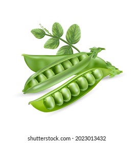 Fresh green peas, a source of vegetable protein.