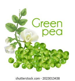 Fresh green peas, a source of vegetable protein.