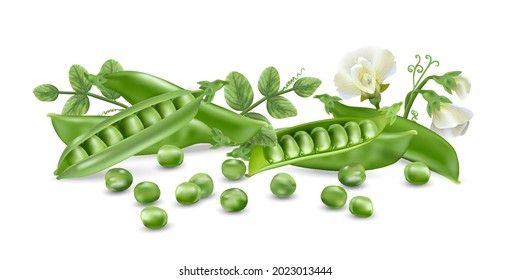 Fresh green peas, a source of vegetable protein.