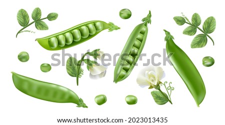Fresh green peas, a source of vegetable protein.
