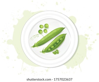 Fresh green peas vector illustration from top angle
