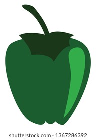 A fresh green pepper vector  