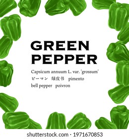 Fresh green pepper vector illustration frame.  text means green pepper in several language 