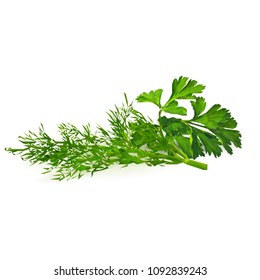 Fresh green plant, nutritious dill, tasty green parsley. Vector illustration. Vegetables ingredients in triangulation technique. Parsley and dill low poly.