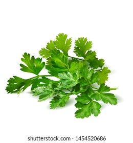 Fresh green plant, nutritious, tasty green parsley. Vector illustration. Vegetables ingredients in triangulation technique. Parsley low poly.