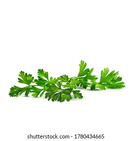 Fresh green plant, nutritious, tasty green parsley. Vector illustration. Vegetables ingredients in triangulation technique. Parsley low poly.