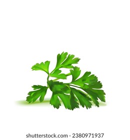 Fresh green plant, nutritious, tasty green parsley. Vector illustration. Vegetable ingredients in Mesh Tool technique. 