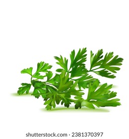 Fresh green plant, nutritious, tasty green parsley. Vector illustration. Vegetable ingredients in Mesh Tool technique. 