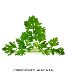 Fresh green plant, nutritious, tasty green parsley. Vector illustration. Vegetable ingredients in Mesh Tool technique. 