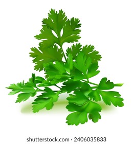 Fresh green plant, nutritious, tasty green parsley. Vector illustration. Vegetable ingredients in Mesh Tool technique. 