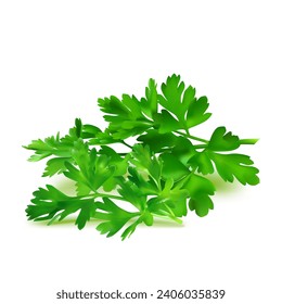 Fresh green plant, nutritious, tasty green parsley. Vector illustration. Vegetable ingredients in Mesh Tool technique. 