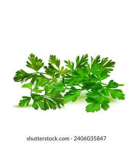 Fresh green plant, nutritious, tasty green parsley. Vector illustration. Vegetable ingredients in Mesh Tool technique. 