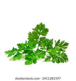 Fresh green plant, nutritious, tasty green parsley. Vector illustration. Vegetable ingredients in Mesh Tool technique. 