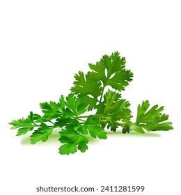 Fresh green plant, nutritious, tasty green parsley. Vector illustration. Vegetable ingredients in Mesh Tool technique. 