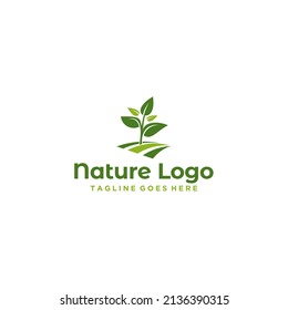 Fresh green plant sprout vector illustration of growth and natural elements