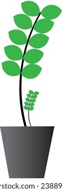 Fresh green plants grow and live in flower pots