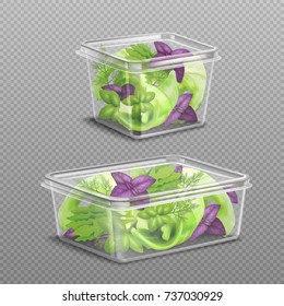 Fresh green and purple salad leaves in 2 plastic food storage containers on transparent background realistic vector illustration 