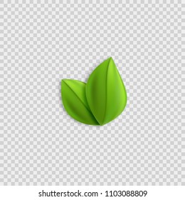 Fresh green realistic leaves vector design element