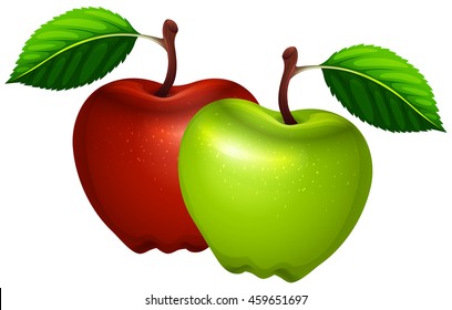 Fresh green and red apples illustration