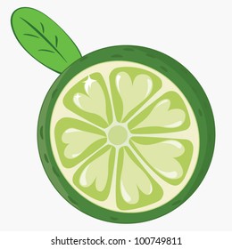 The fresh green ripe lime with abstract hearts and leaf isolated on white. Vector illustration.