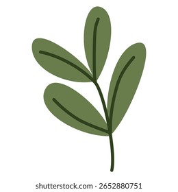 Folhas frescas de roma e alface, ingredientes de salada orgânicos, alimentos vegetarianos saudáveis, verduras de folhas cultivadas na fazenda, dieta nutritiva, comida à base de plantas. Ilustração vetorial em estilo plano.