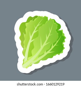 fresh green salad leaves lettuce sticker tasty vegetable icon healthy food concept vector illustration