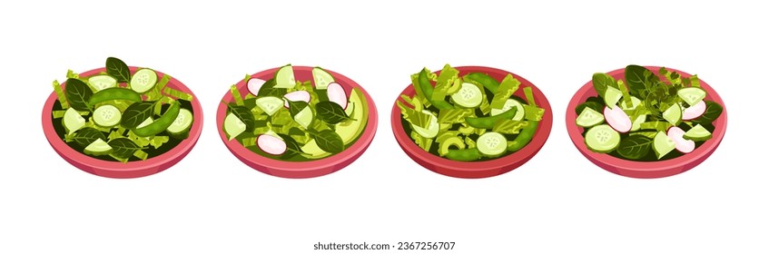 Fresh Green Salad with Vegetables and Herbs in Bowls Vector Set