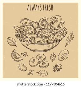 Fresh green salad vintage banner poster background design with hand drawn vegetables. Vector illustration