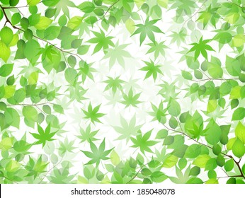 Fresh green sky landscape