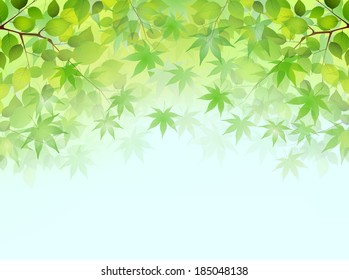 Fresh green sky landscape