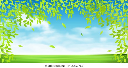fresh green sky meadow background