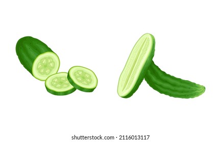 Fresh green sliced cucumber vegetable. Healthy nutrition food vector illustration