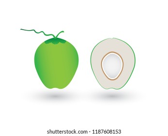 A fresh green sliced or half coconut on white background vector illustration