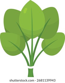 Ilustración vectorial de espinacas verdes frescas Perfecto para el diseño de alimentos, gráficos de estilo de vida saludable, iconos de cocina, menús de restaurantes y proyectos de arte digital