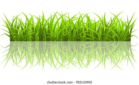 fresh green spring grass borders in lengths and densities for use as design elements isolated on white background. Vector illustrations