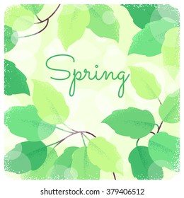 Fresh green spring leaves. Retro vector illustration. Bokeh background. Place for your text. Design for invitation, banner, card, poster, flyer