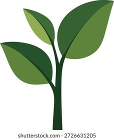 Un brote verde fresco con tres hojas anchas y un tallo delgado dibujado con líneas limpias.