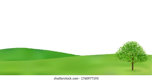 Fresh green summer nature background