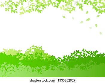 Fresh green and sun leaves landscape