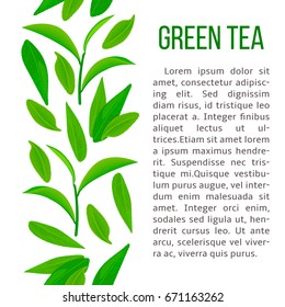 Fresh Green tea leaves and twig. vertical stripe and description text. for cosmetics, drinks, beverage, label, decoration, banner, advertising, prints, poster, label, wrapping, postcard, invitation