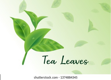 fresh green tea leaves vector realistic 3d, tea leaves pattern