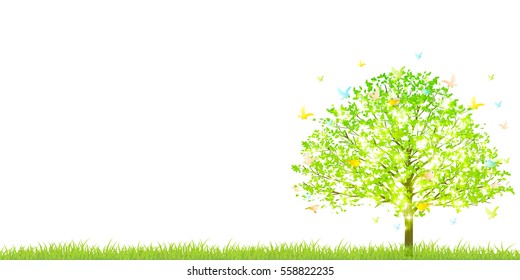Fresh green tree Bird background