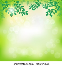 Fresh Green Tree Leaves Frame Nature Stock Vector (Royalty Free ...