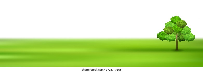 Fresh green tree meadow background