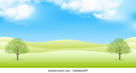 Fresh green trees meadow background