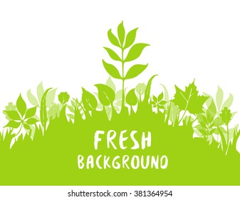 Fresh and green vector background. Spring or summer pattern. Vector illustration. Oak, linden, birch, chestnut, willow, alder, ash and maple leaves.