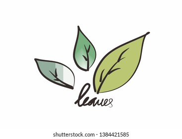 Fresh Green Vector Illustration Leaves Drawing. 