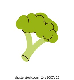 Fresh green vegetable broccoli, healthy natural vitamin food ingredients, green broccoli food, healthy natural cabbage tree, raw veggie isolated on white background flat vector illustration.